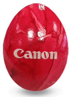 imgi_13_Logo-Kundenei_Canon